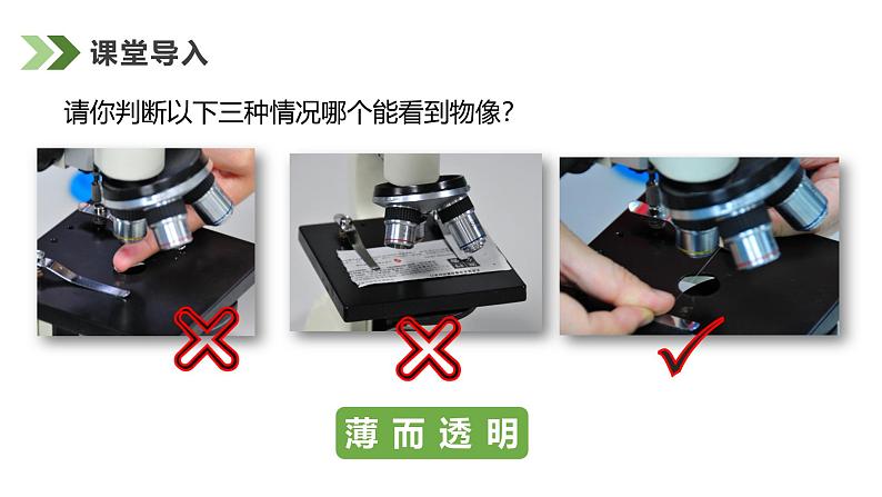 1.2.2植物细胞课件人教版生物七年级上册2024新教材04