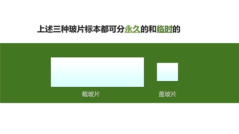 1.2.2植物细胞课件人教版生物七年级上册2024新教材08