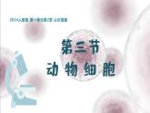 1.2.3动物细胞课件人教版生物七年级上册2024新教材
