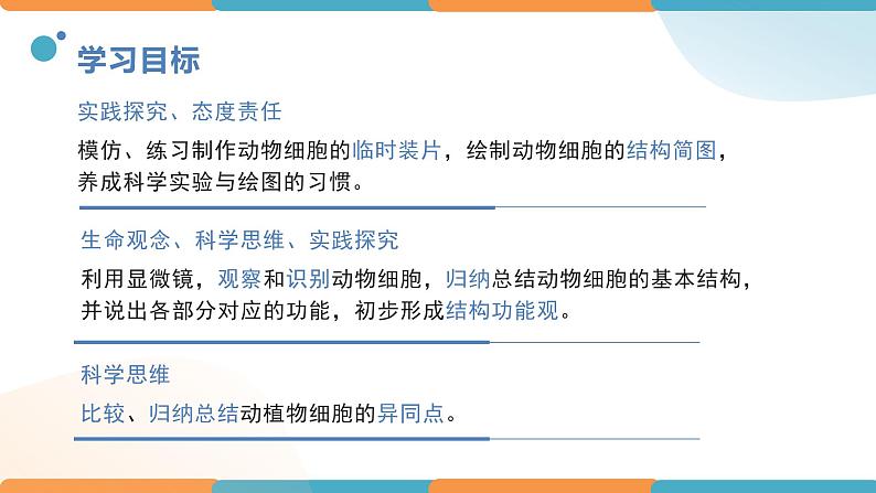 1.2.3动物细胞课件人教版生物七年级上册2024新教材第2页