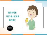 1.2.3动物细胞课件人教版生物七年级上册2024新教材