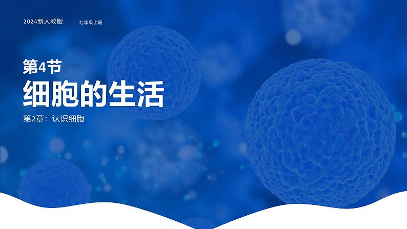 1.2.4细胞的生活课件人教版生物七年级上册2024新教材第1页