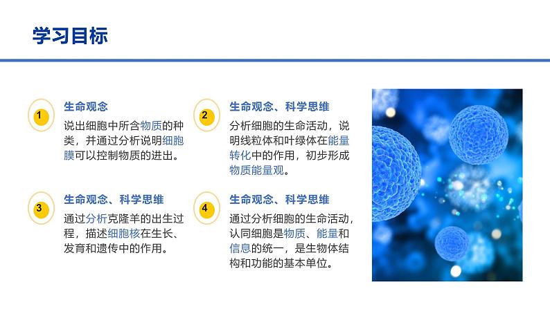 1.2.4细胞的生活课件人教版生物七年级上册2024新教材第3页