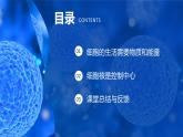 1.2.4细胞的生活课件人教版生物七年级上册2024新教材