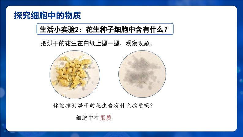 1.2.4细胞的生活课件人教版生物七年级上册2024新教材第7页