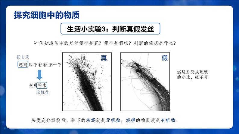 1.2.4细胞的生活课件人教版生物七年级上册2024新教材第8页