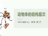 1.3.2动物体的结构层次课件人教版生物七年级上册2024新教材