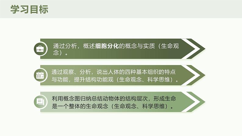 1.3.2动物体的结构层次课件人教版生物七年级上册2024新教材03