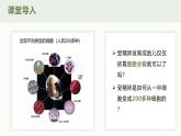 1.3.2动物体的结构层次课件人教版生物七年级上册2024新教材