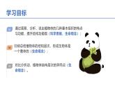 1.3.3植物体的结构层次课件人教版生物七年级上册2024新教材