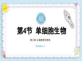 1.3.4单细胞生物课件人教版生物七年级上册2024新教材