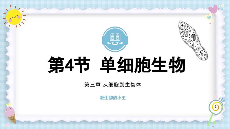 1.3.4单细胞生物课件人教版生物七年级上册2024新教材01