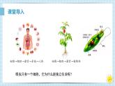 1.3.4单细胞生物课件人教版生物七年级上册2024新教材
