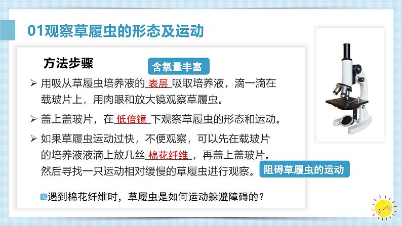 1.3.4单细胞生物课件人教版生物七年级上册2024新教材08