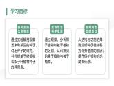 2.1.2种子植物课件人教版生物七年级上册2024新教材