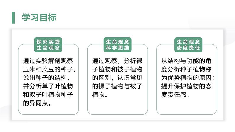 2.1.2种子植物课件人教版生物七年级上册2024新教材第2页