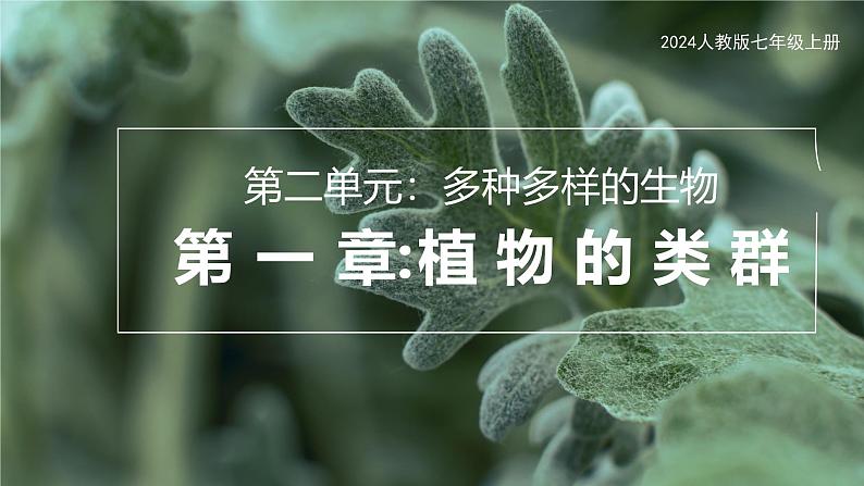 2.2.1藻类、苔藓和蕨类课件人教版生物七年级上册2024新教材01