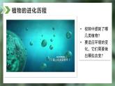 2.2.1藻类、苔藓和蕨类课件人教版生物七年级上册2024新教材