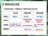 2.2.1藻类、苔藓和蕨类课件人教版生物七年级上册2024新教材