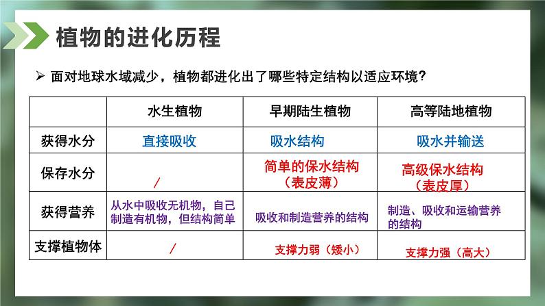 2.2.1藻类、苔藓和蕨类课件人教版生物七年级上册2024新教材04