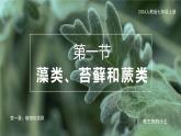 2.2.1藻类、苔藓和蕨类课件人教版生物七年级上册2024新教材