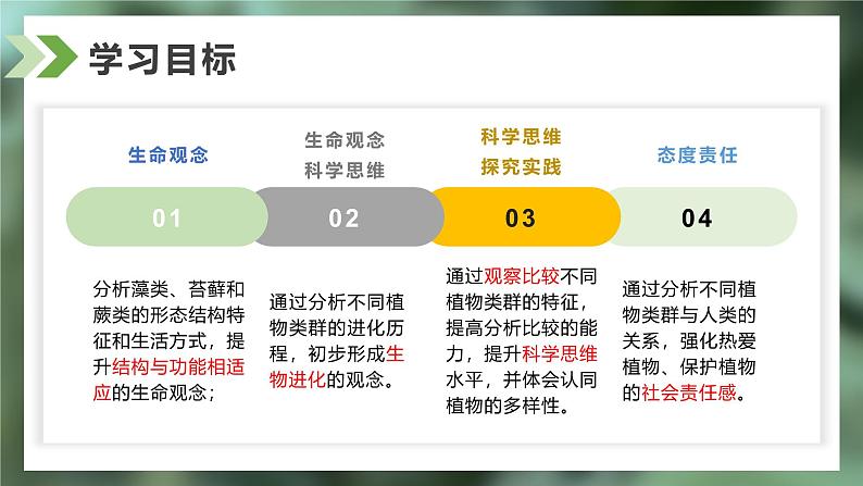 2.2.1藻类、苔藓和蕨类课件人教版生物七年级上册2024新教材06