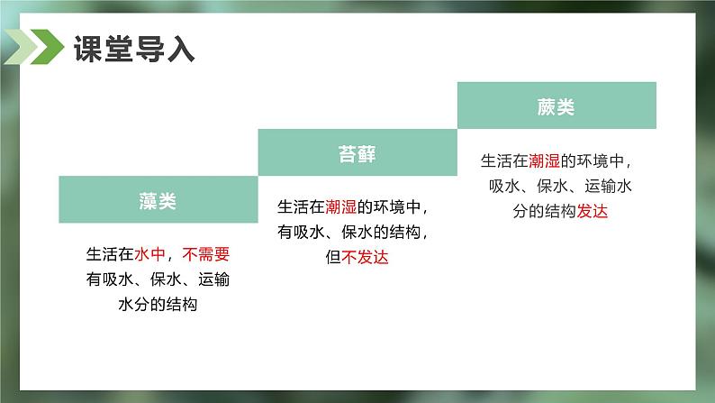 2.2.1藻类、苔藓和蕨类课件人教版生物七年级上册2024新教材07