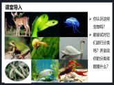 2.2.1无脊椎动物课件人教版生物七年级上册2024新教材