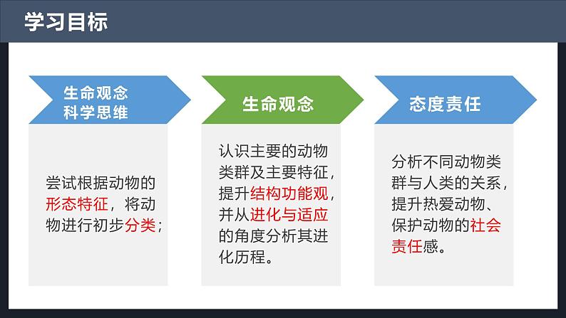 2.2.1无脊椎动物课件人教版生物七年级上册2024新教材03