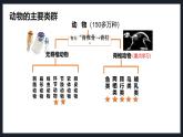 2.2.1无脊椎动物课件人教版生物七年级上册2024新教材