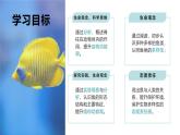 2.2.2-1鱼课件人教版生物七年级上册2024新教材