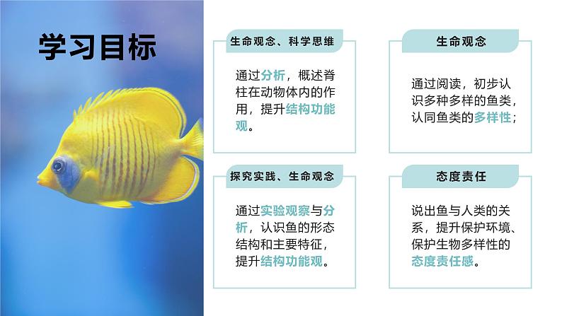 2.2.2-1鱼课件人教版生物七年级上册2024新教材第2页