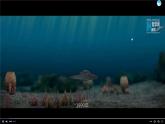 2.2.2-1鱼课件人教版生物七年级上册2024新教材