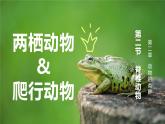 2.2.2-2两栖动物和爬行动物课件人教版生物七年级上册2024新教材