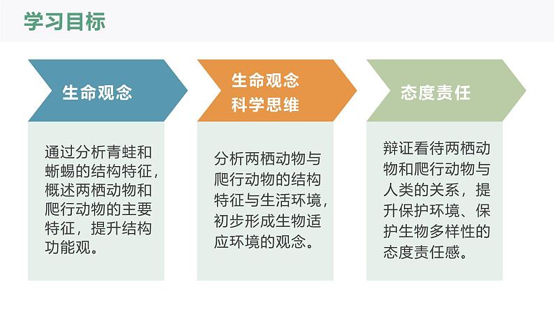 2.2.2-2两栖动物和爬行动物课件人教版生物七年级上册2024新教材02