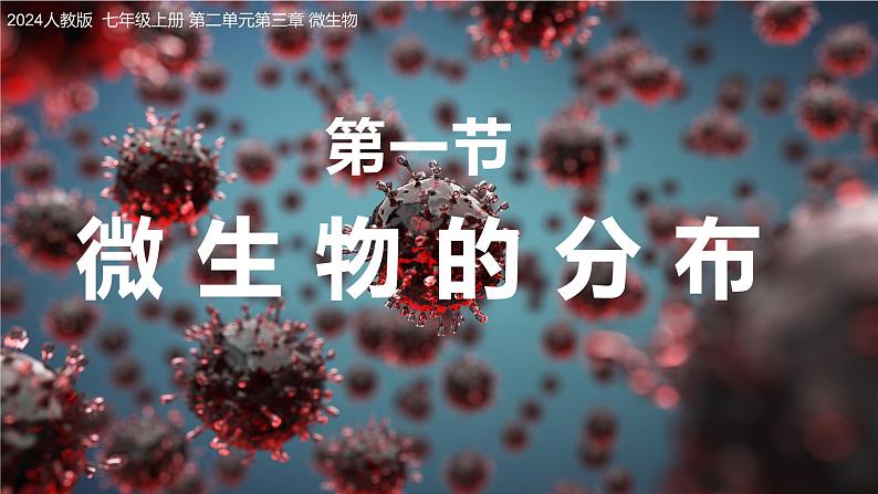 2.3.1微生物的分布课件人教版生物七年级上册2024新教材01