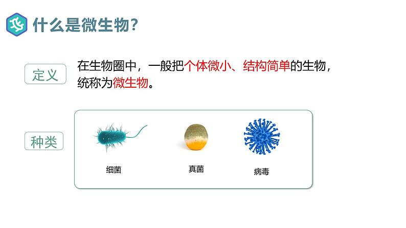 2.3.1微生物的分布课件人教版生物七年级上册2024新教材04