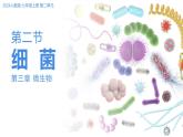 2.3.2細(xì)菌課件人教版生物七年級(jí)上冊(cè)2024新教材