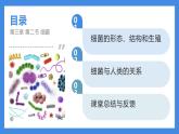 2.3.2細(xì)菌課件人教版生物七年級(jí)上冊(cè)2024新教材