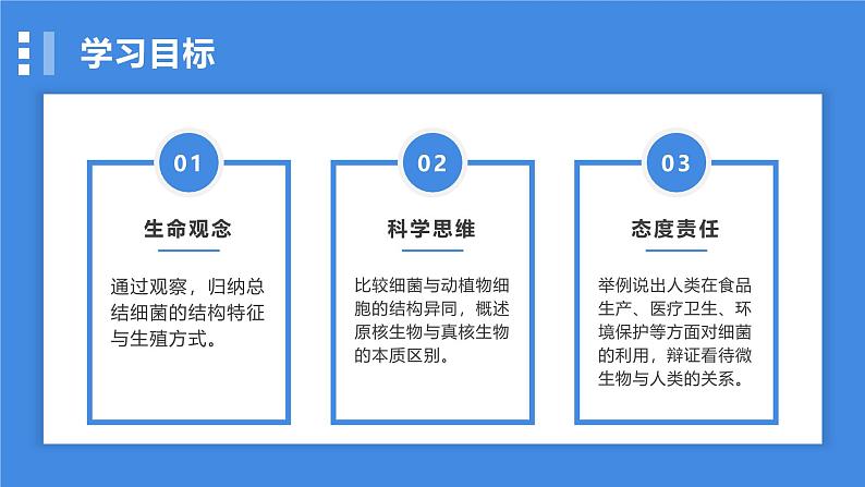 2.3.2细菌课件人教版生物七年级上册2024新教材03