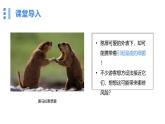 2.3.2細(xì)菌課件人教版生物七年級(jí)上冊(cè)2024新教材