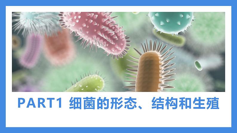 2.3.2细菌课件人教版生物七年级上册2024新教材06