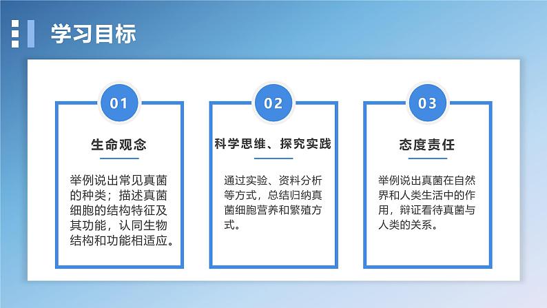 2.3.3真菌课件人教版生物七年级上册2024新教材02