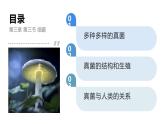 2.3.3真菌课件人教版生物七年级上册2024新教材