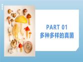 2.3.3真菌课件人教版生物七年级上册2024新教材