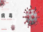 2.3.4病毒课件人教版生物七年级上册2024新教材