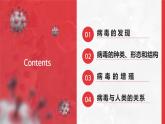 2.3.4病毒课件人教版生物七年级上册2024新教材