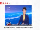 2.3.4病毒课件人教版生物七年级上册2024新教材