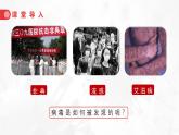 2.3.4病毒课件人教版生物七年级上册2024新教材