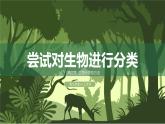 2.4.1尝试对生物进行分类课件人教版生物七年级上册2024新教材
